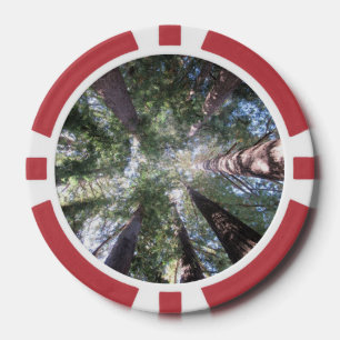 Poker Chip Redwood Bäume Aufblick Design