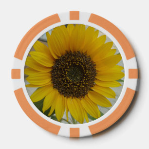 Poker-Chip-Sonnenblume Pokerchips