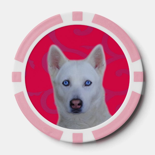 Poker-Chips aus weißem sibirischem Husky, rosa Str Pokerchips (Vorderseite)