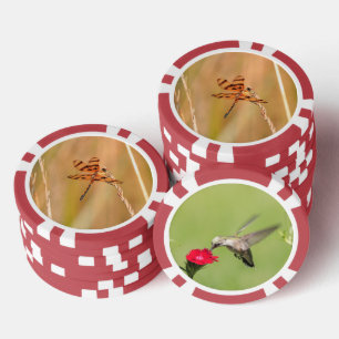 Poker-Chips mit Libelle und Kolibri Pokerchips