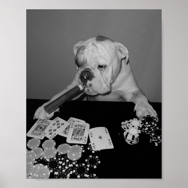 Poker Poster (Vorne)