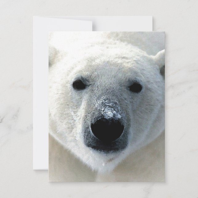 Polar-Bär-Flachkarte (Vorderseite)
