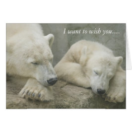 Polar Bär ich woll, Ihnen zu wünschen...