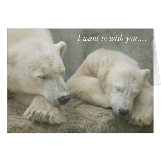 Polar Bär ich woll, Ihnen zu wünschen... (Vorderseite (Horizontal))