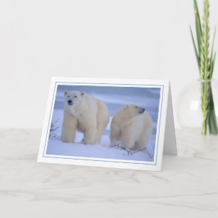 Polar Bären Mutter mit Cube im Schnee Feiertagskarte