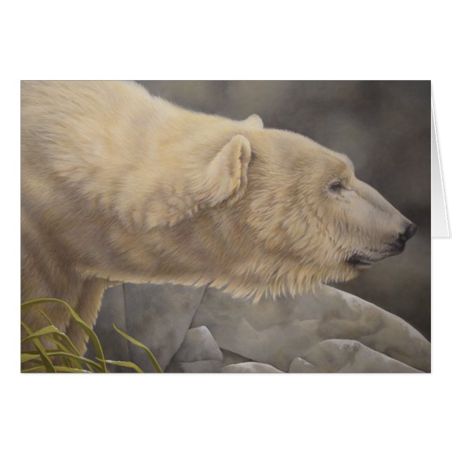Polar Bear (Vorderseite (Horizontal))