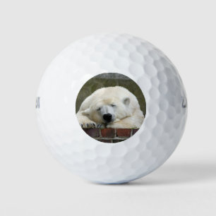 Polar_Bear_2015_0301 Golfball