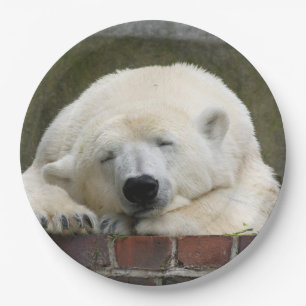 Polar_Bear_2015_0301 Pappteller