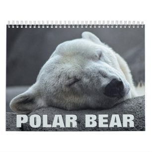Polar Bear 2022 Wall Calendar Kalender