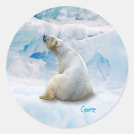 Polar Bear 2 - Aufkleber für den Umschlag