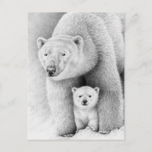 Polar Bear and Cube Postcard Postkarte