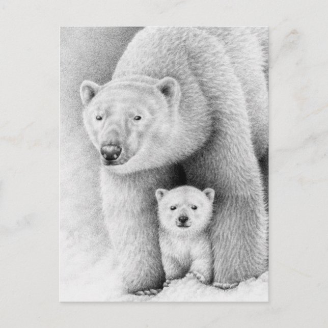 Polar Bear and Cube Postcard Postkarte (Vorderseite)