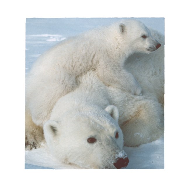 Polar Bear and Cube Wildlife Lovers Notizblock (Vorderseite)