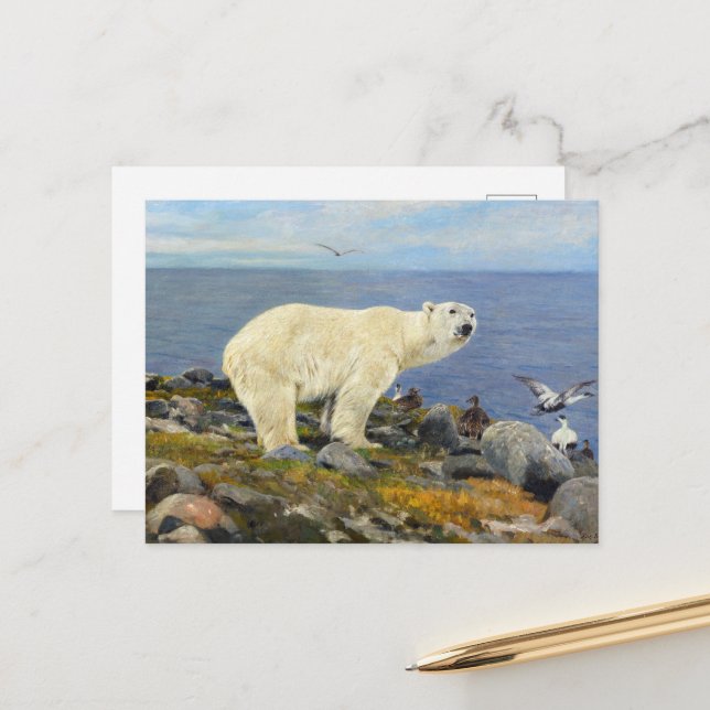 Polar Bear and Eider Encks on Coast by Friese Postkarte (Vorderseite/Rückseite Beispiel)