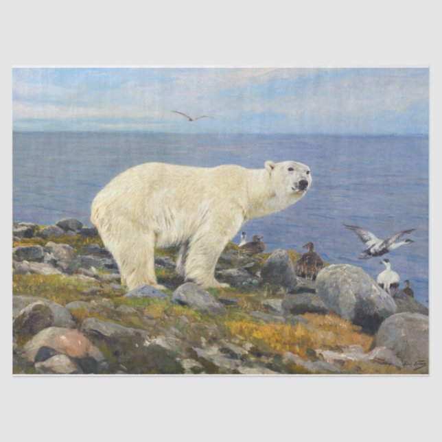 Polar Bear and Eider Encks on Coast by Friese Seidenpapier (Vorderseite)