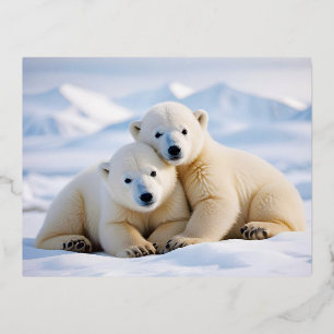 Polar Bear Animal Nature Wildlife Zuneigung Gekümm Folien Feiertagspostkarte