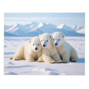 Polar Bear Animal Nature Wildlife Zuneigung Gekümm Notizblock