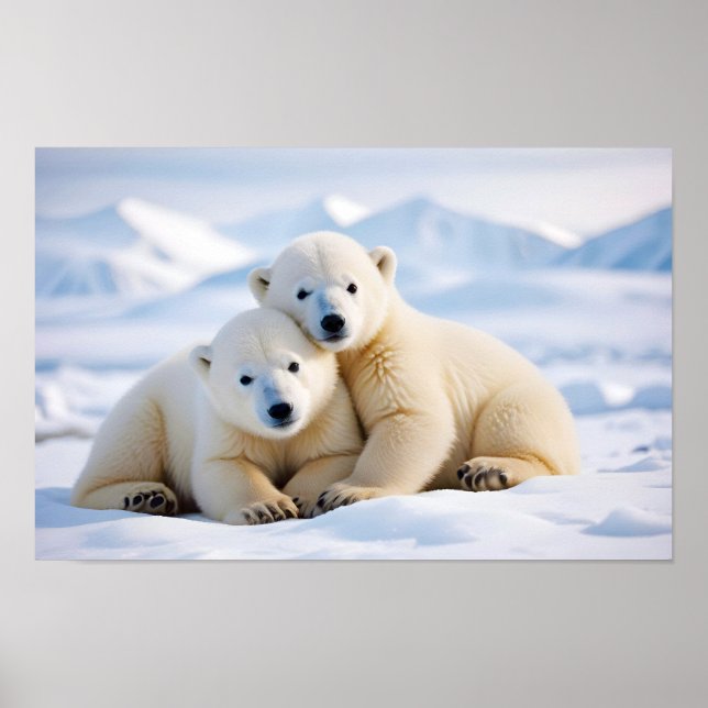 Polar Bear Animal Nature Wildlife Zuneigung Gekümm Poster (Vorne)