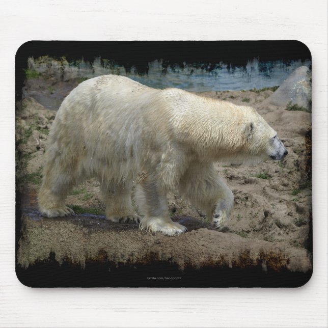 Polar Bear Arctic Animal Bear Lover Mousepad (Vorne)