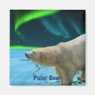 Polar Bear & Aurora Arktis Kunst, Dichtung und Mus Magnet
