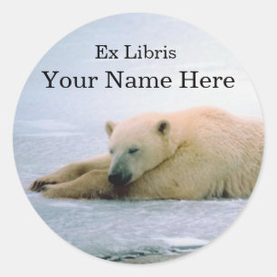Polar Bear Buchzeichen Sticker