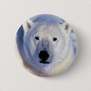 Polar Bear Button