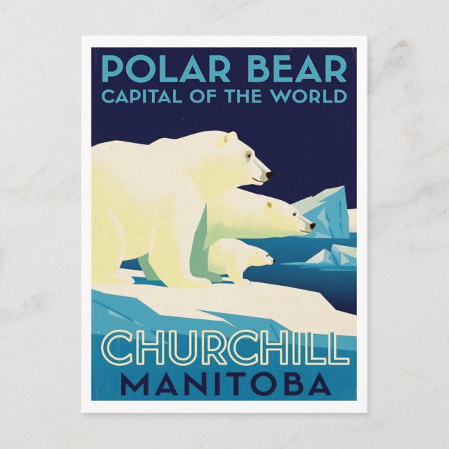 Polar Bear Capital of the World Churchill Manitoba Postkarte (Vorderseite)