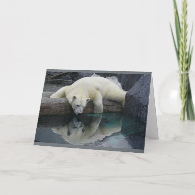Polar Bear Cards - Reflektionen Karte (Vorderseite)