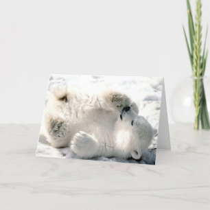 Polar Bear Cub Karte
