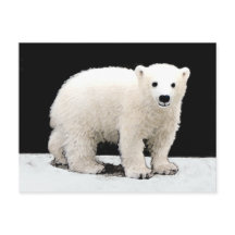 Polar Bear Cub Painting - Original Wildlife Art