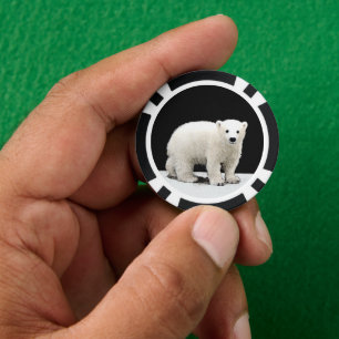 Polar Bear Cub Painting - Ursprüngliche Kunst, Dic Pokerchips