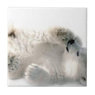 Polar Bear Cube Süße Tier Arktis gefroren Winter Fliese