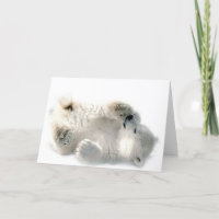 Polar Bear Cube Süße Tier Arktis gefroren Winter