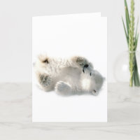 Polar Bear Cube Süße Tier Arktis gefroren Winter