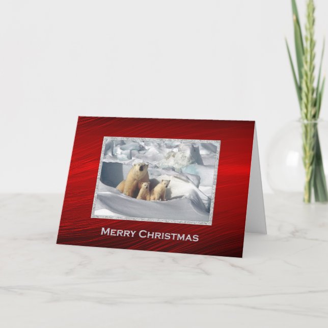 Polar Bear Cubs Schnee Foto Weihnachten (Vorderseite)
