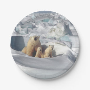 Polar Bear Cubs Snow Foto Pappteller