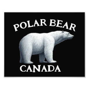 POLAR BEAR FOTODRUCK