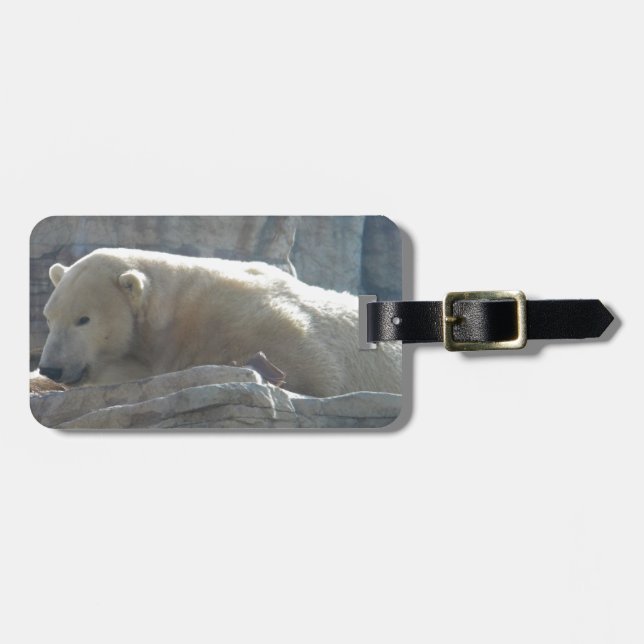 Polar Bear Gepäckanhänger (Vorderseite horizontal)
