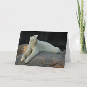 Polar Bear Grußkarte Karte