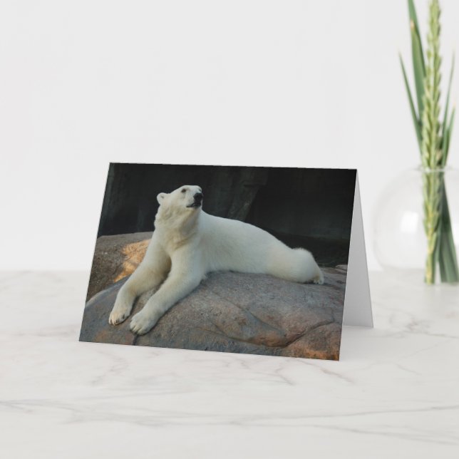 Polar Bear Grußkarte Karte (Vorderseite)