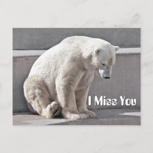 Polar Bear I Miss You Postkarte