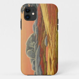 Polar Bear IPhone 5 Case Wildlife Art Bear Geschen
