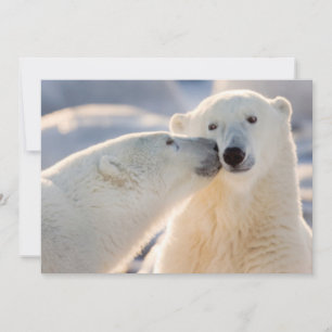 Polar Bear Kiss Feiertagskarte