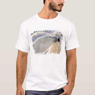 Polar Bear Kiss T-Shirt