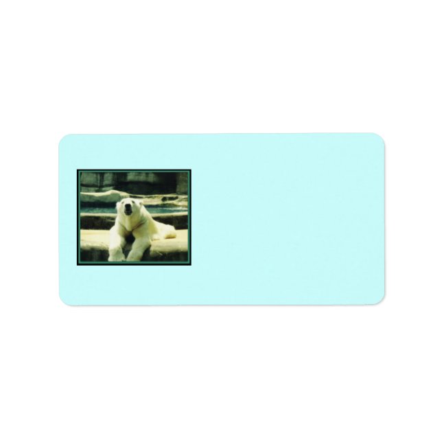 Polar Bear Labels Adressaufkleber (Vorne)