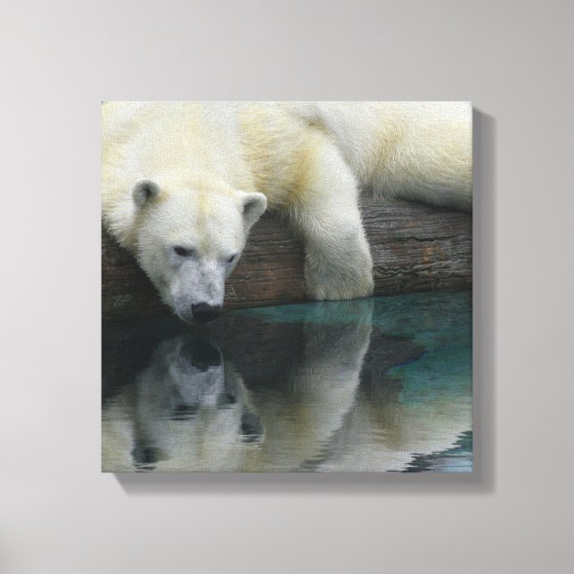 Polar Bear Leinwand - Spiegelbild des Polarbären (Vorderseite)