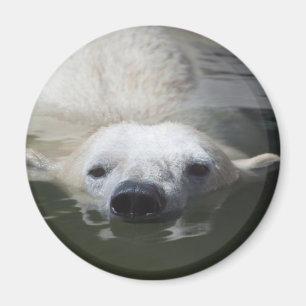 Polar Bear Magnet