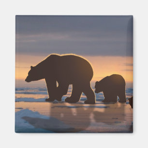 Polar Bear Magnet