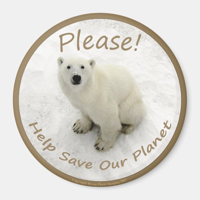 Polar Bear Magnet (Vorne)