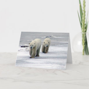 Polar Bear Mama & Cub Card Feiertagskarte